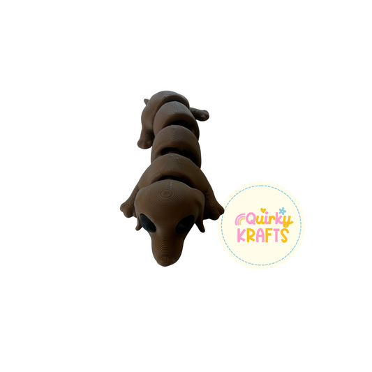 Dachshund