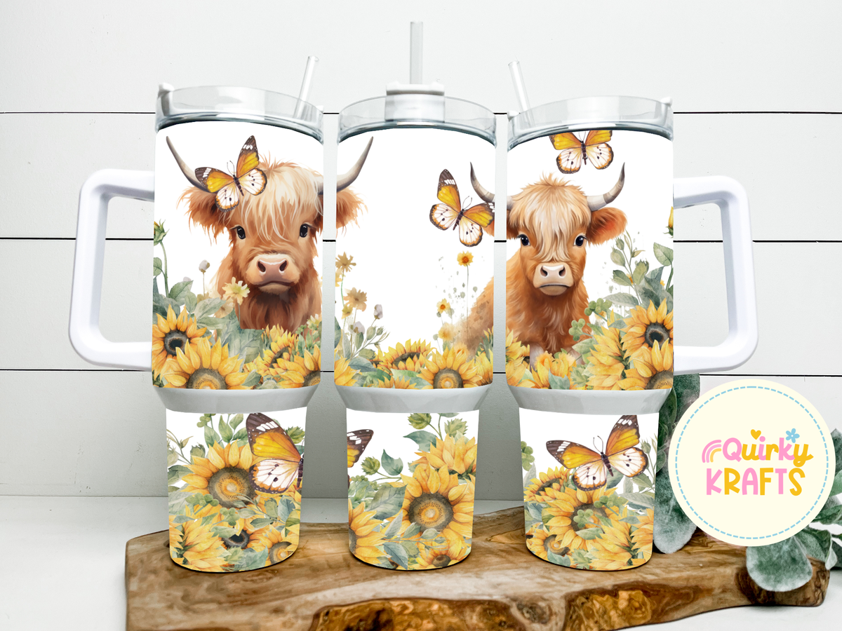 Highland Cow